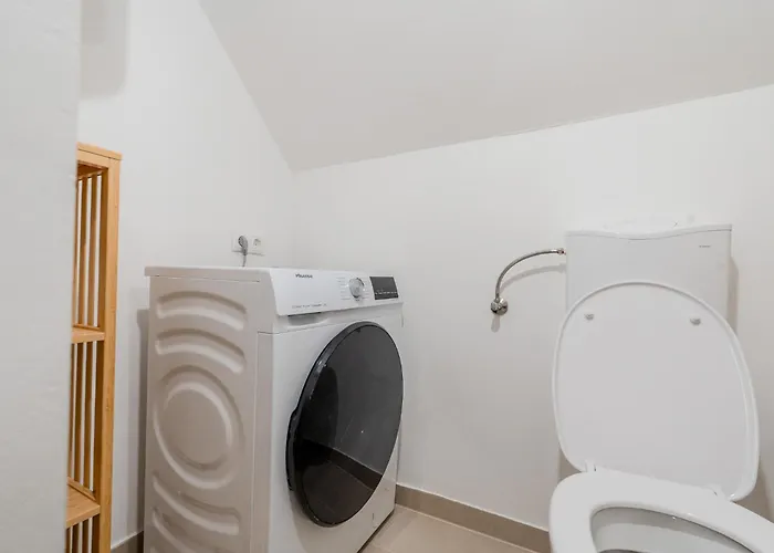 Whats-app Self-check-in - Vibrant Life In *